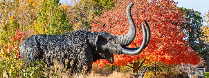 Mastodon