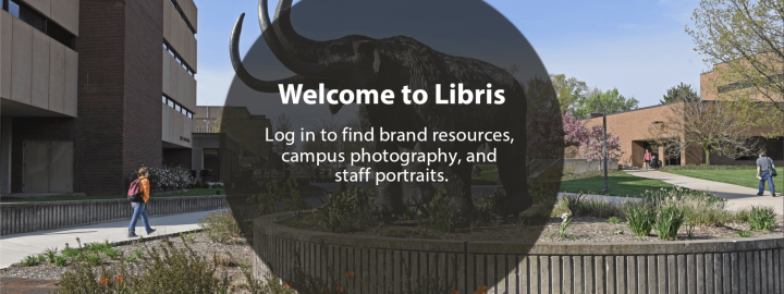 Screenshot of Libris homepage