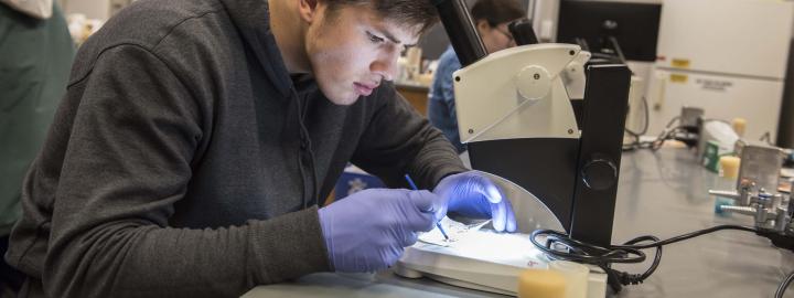 Biology student examining a sample on a lab scope.