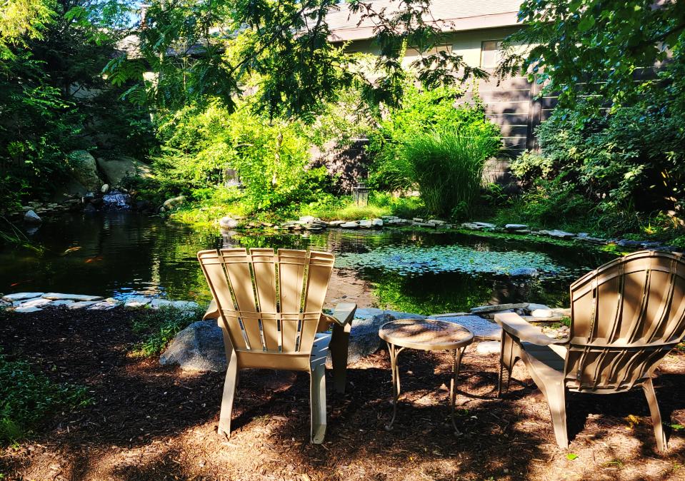 Self-care: Relax in nature and sit beside a pond