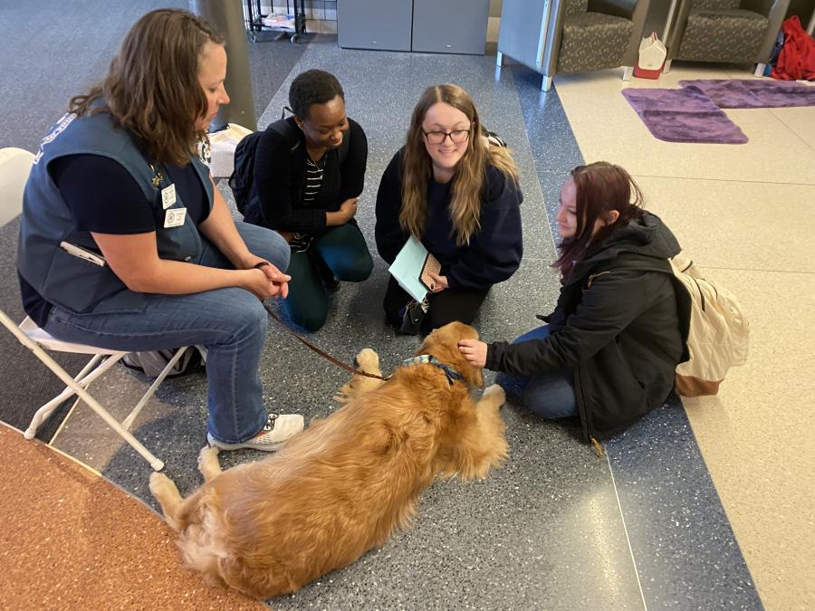 Group of students petting a golden dog
