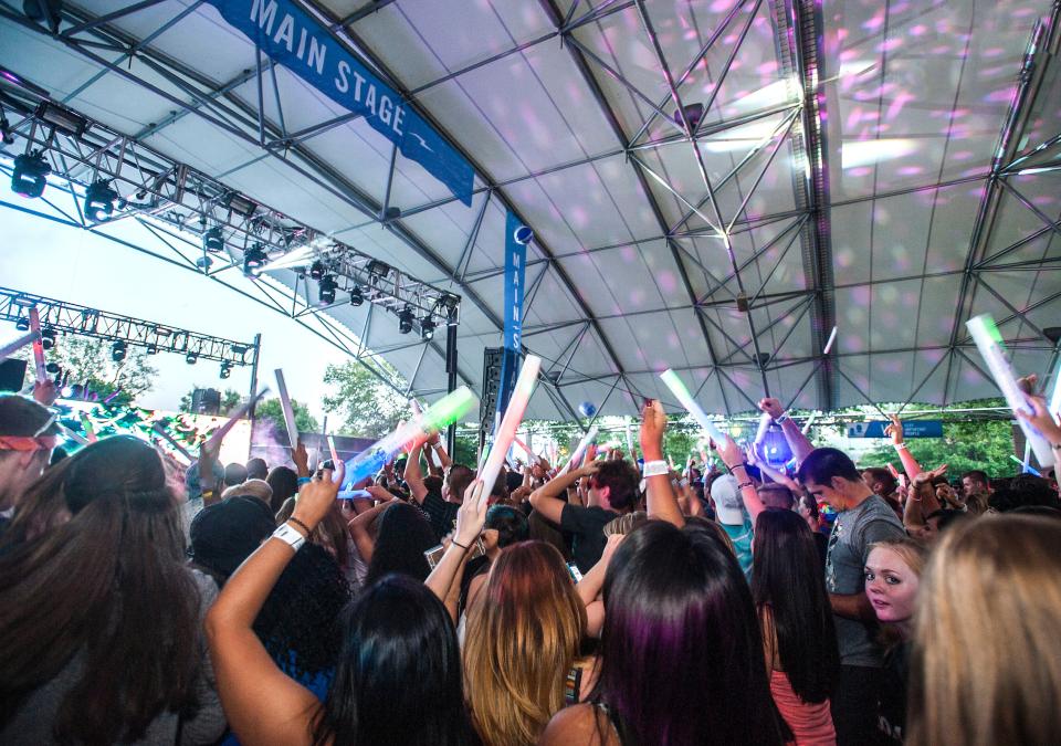Crowd at a music festival