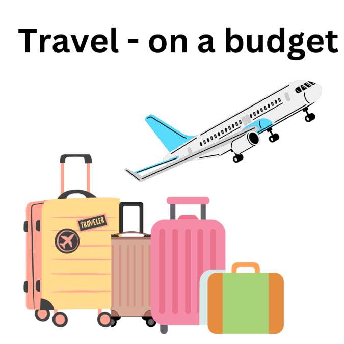 A picture of an airplane and suitcases with the words - "Travel - on a budget"
