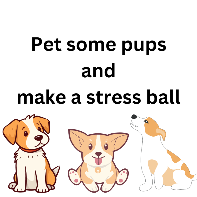 Picture of three dogs