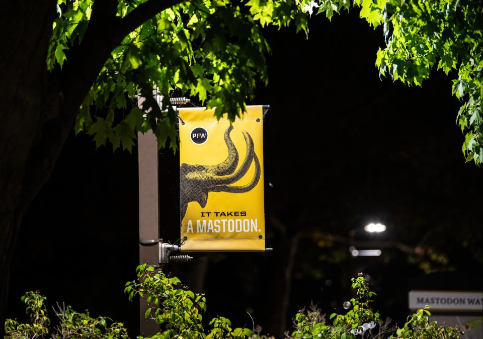 It takes a Mastodon pole banner.