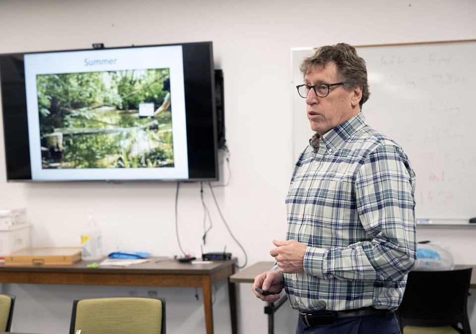 Professor Bruce Kingsbury
