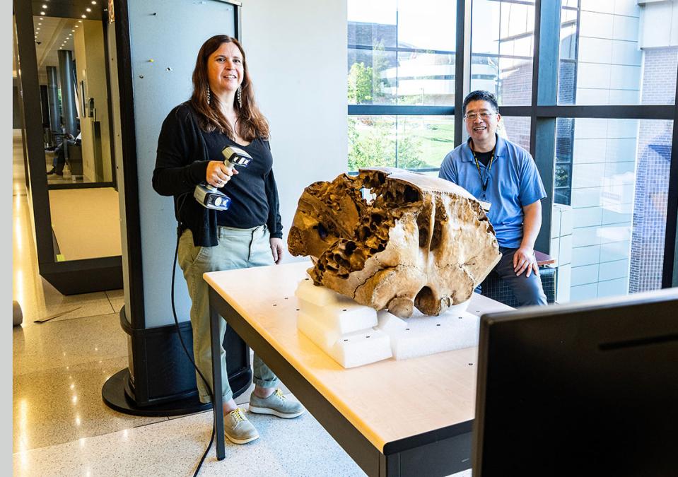 Library staffers Erika Mann and Daniel Lin were members of the team that performed a 3D scan of a baby mastodon skull.
