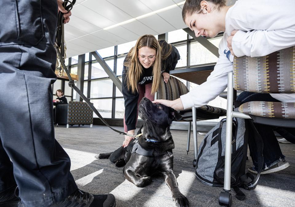 Recon enjoys being the center of attention.