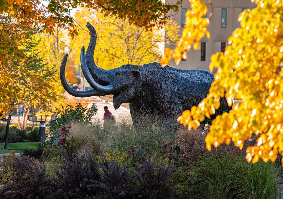 Mastodon statue surrounded by gold leaves
