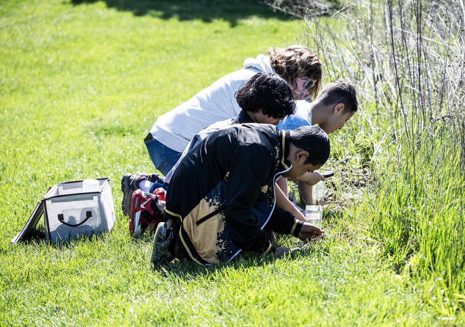 School children are working in a garden.