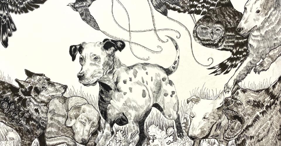 abstract dog