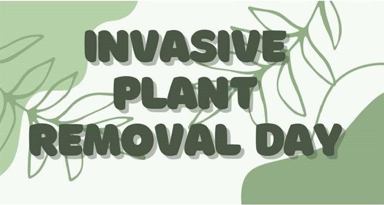 Green foliage background with the text Invasive Plant Removal Day