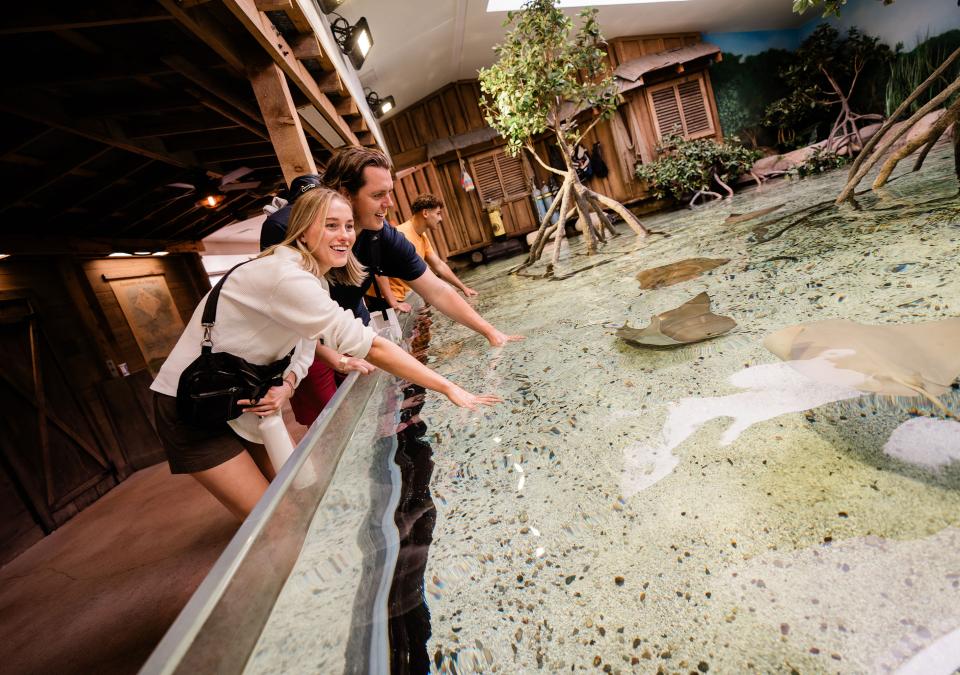 Three people are standing next to a tank containing sting rays