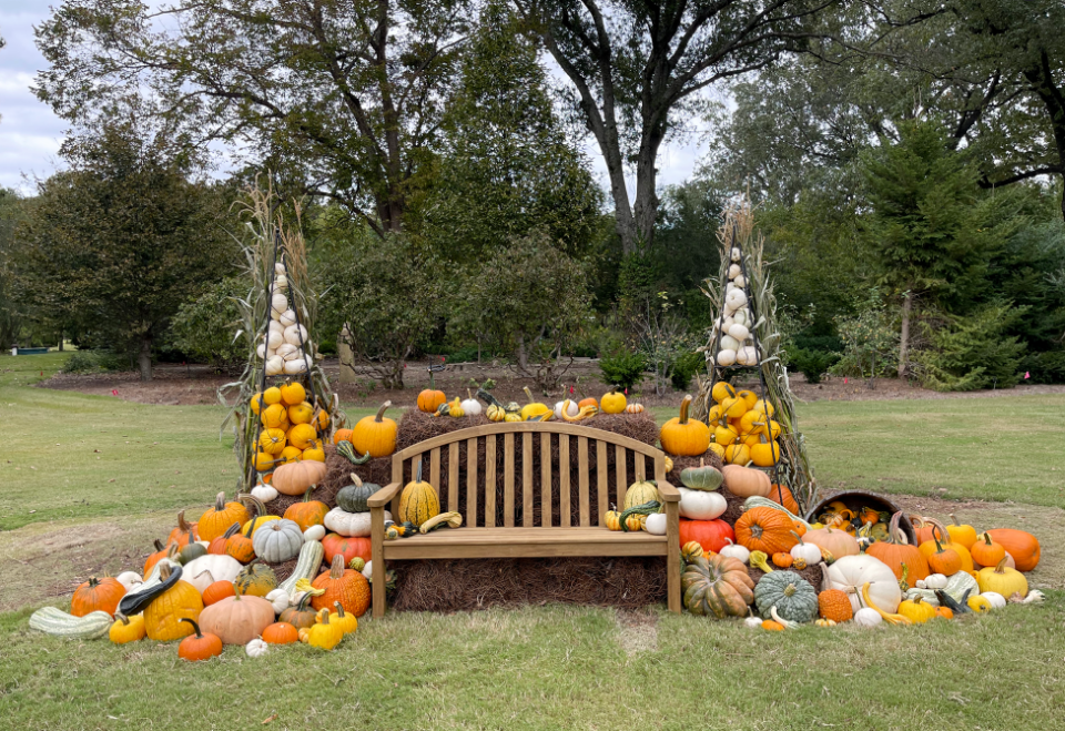 Outdoor bench surrounded by various pumpkins
