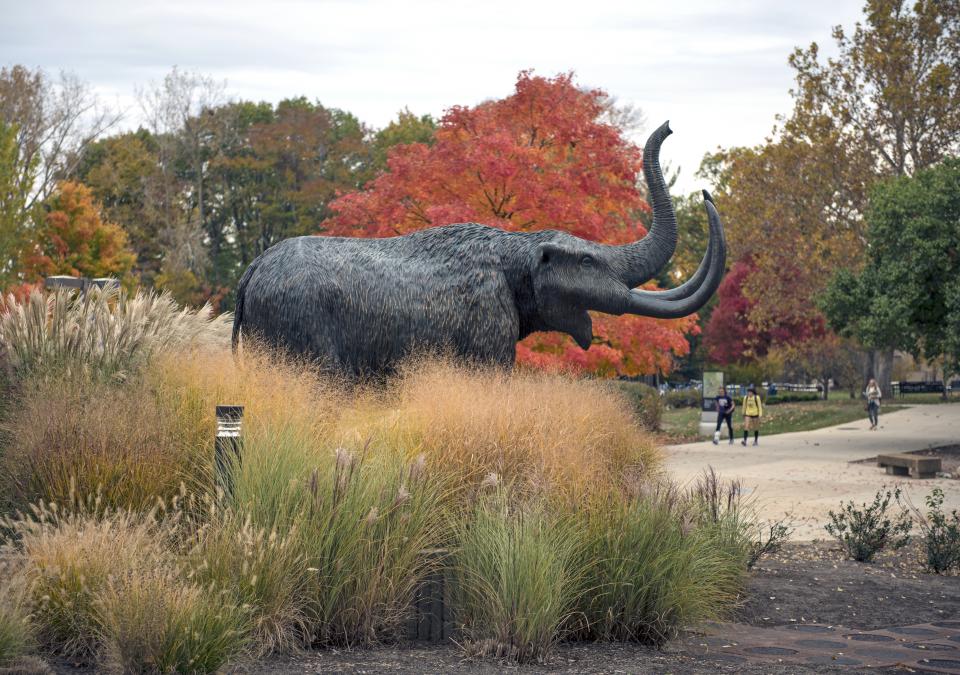 Bronze mastodon statue on campus on an autumn afternoon.