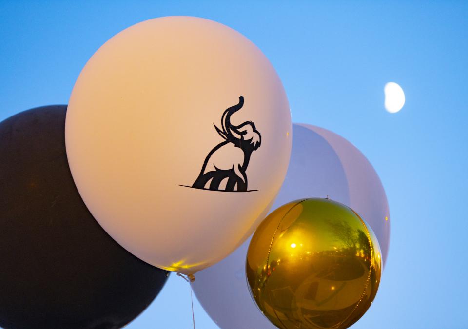 Close up photo of balloons.