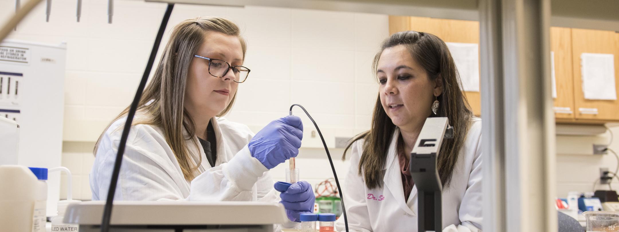 A graduate Bio lab with professor Soule