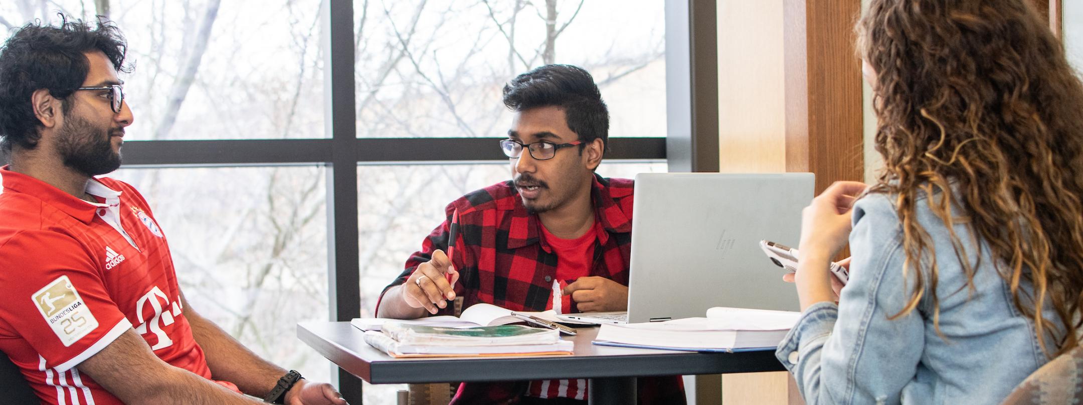 Students studying together
