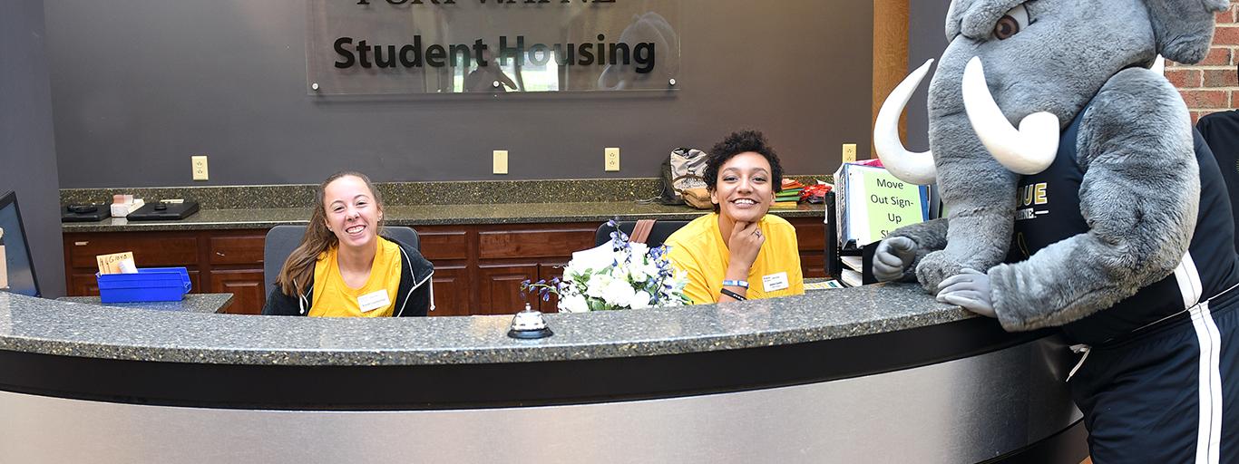 Help desk workers with don