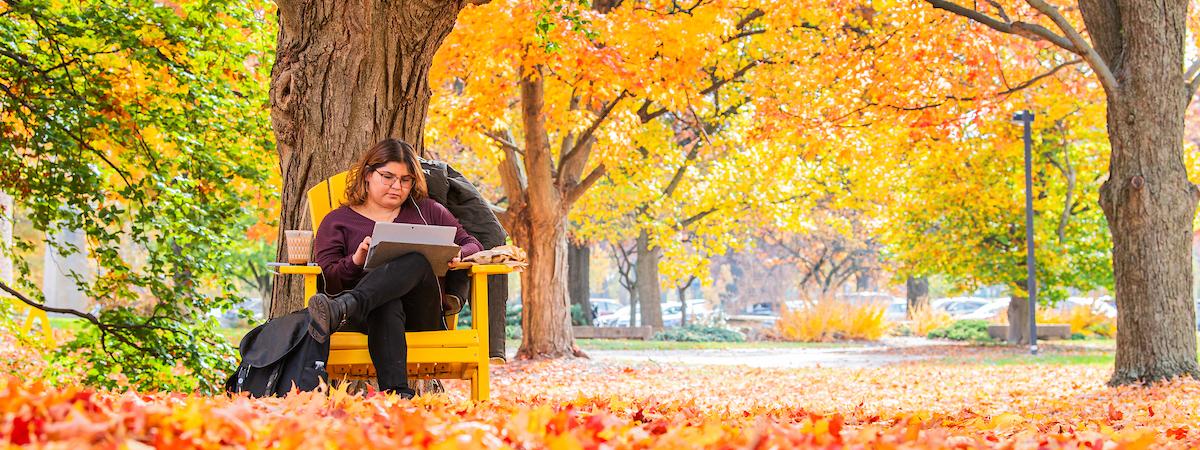 A student studies outside during beautiful fall weather.