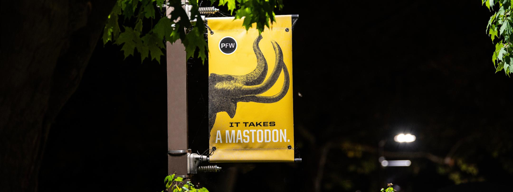 It takes a Mastodon pole banner.