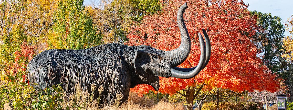 Mastodon