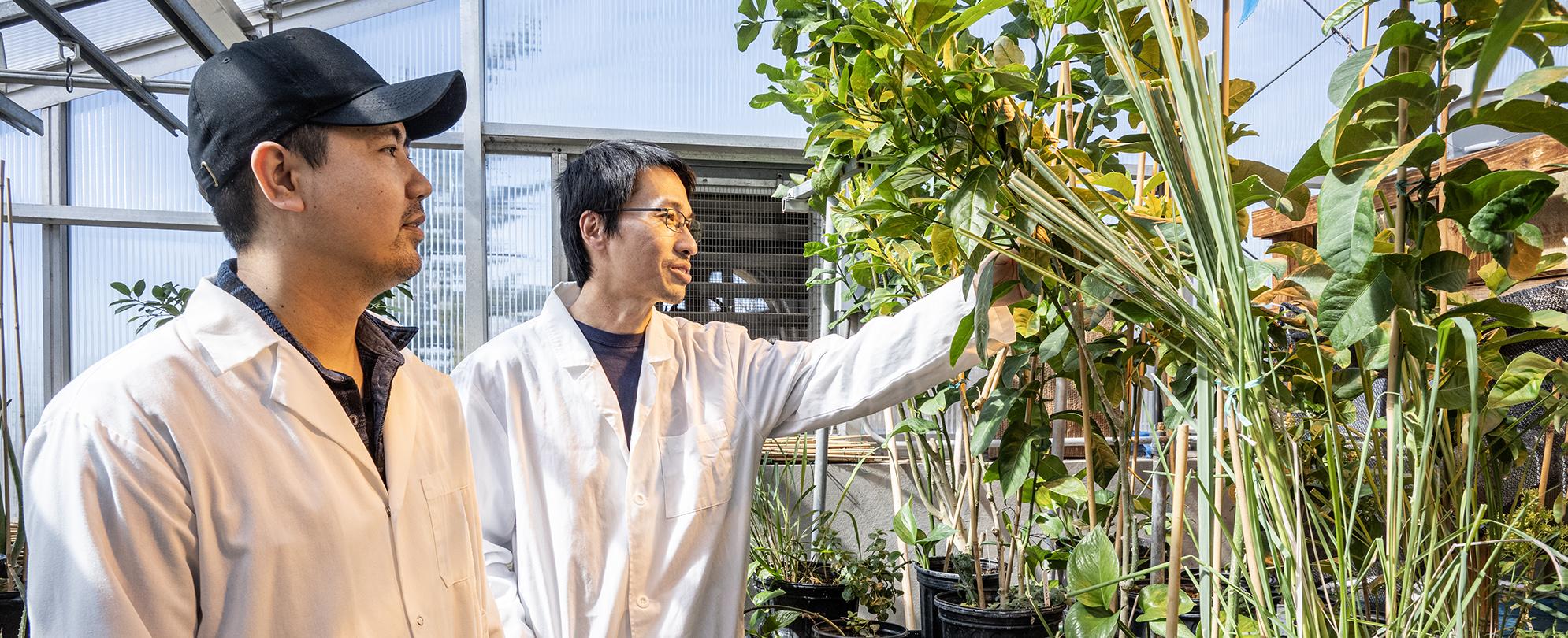 PFW student and professor in a greenhouse.