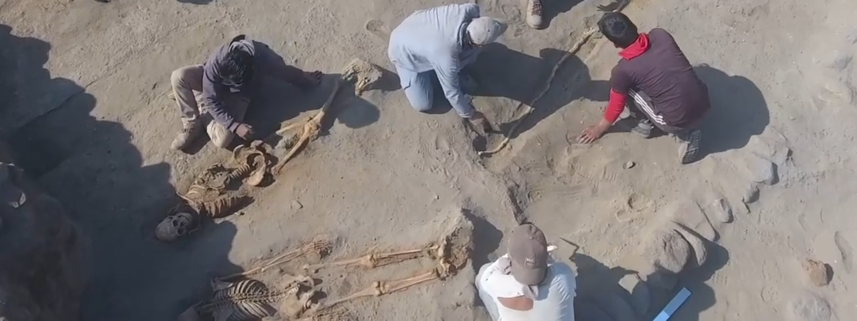 Moche grave site in Peru showing wasrriors and marine animal remains.png