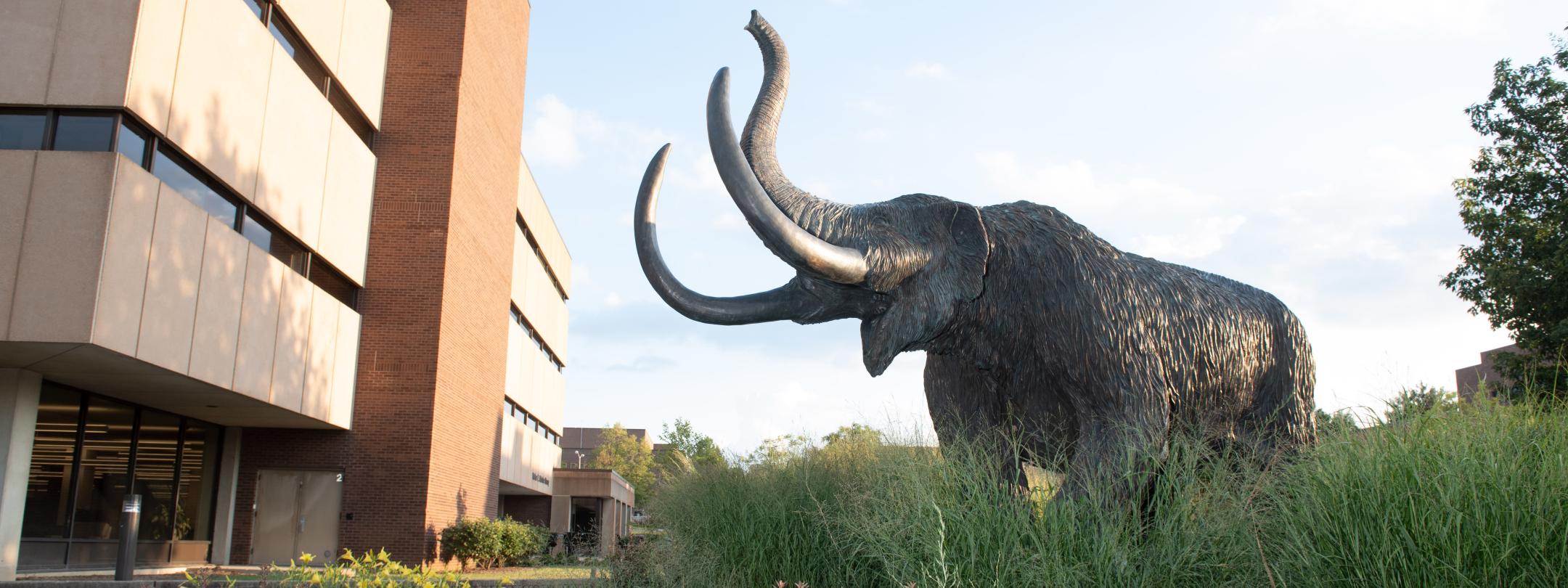 The mastodon statue outside of Helmke Library