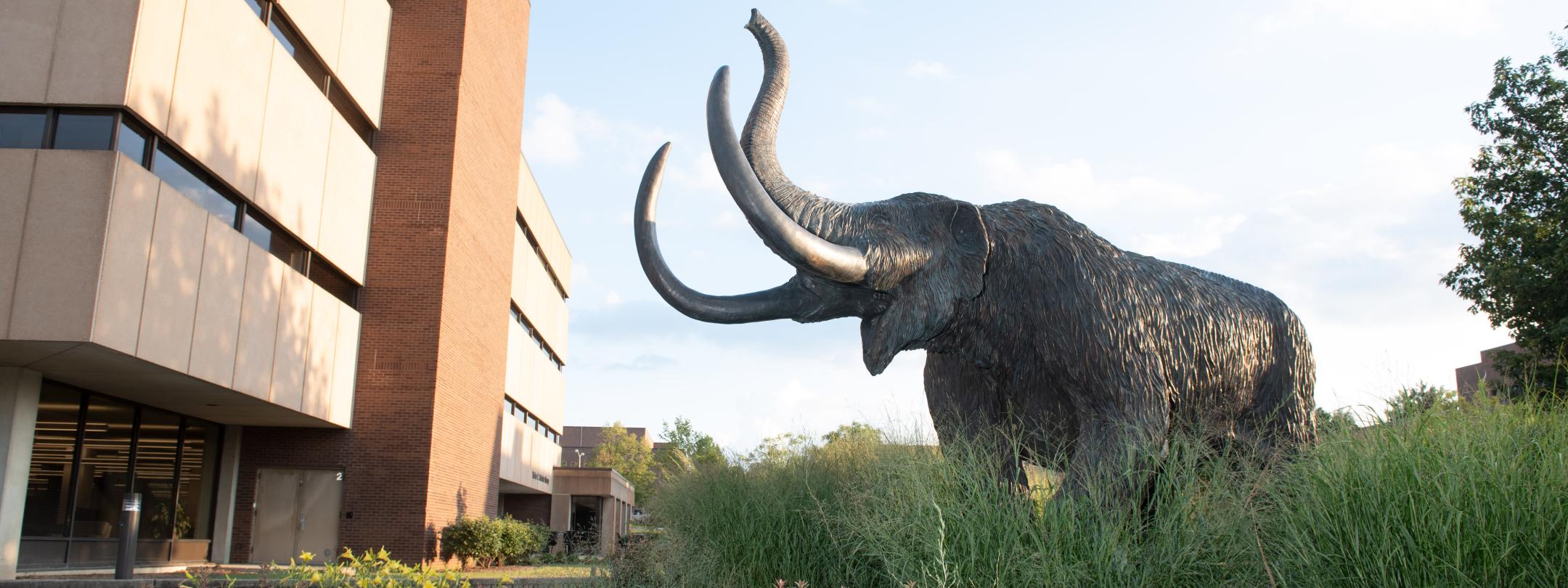 The mastodon statue outside of Helmke Library