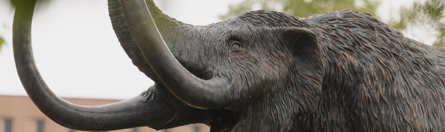 Mastodon