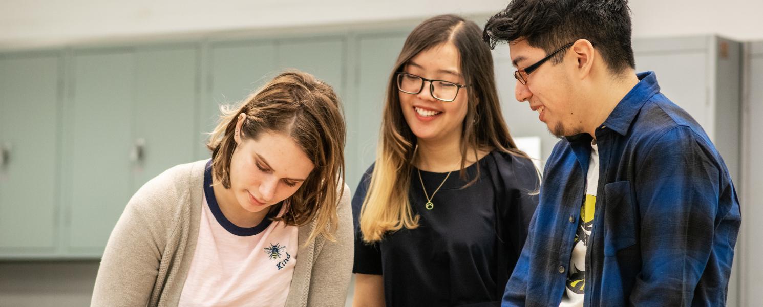 Students working in lab