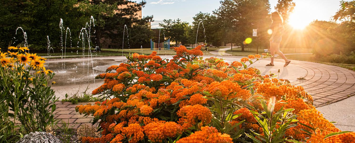 Flowers on campus