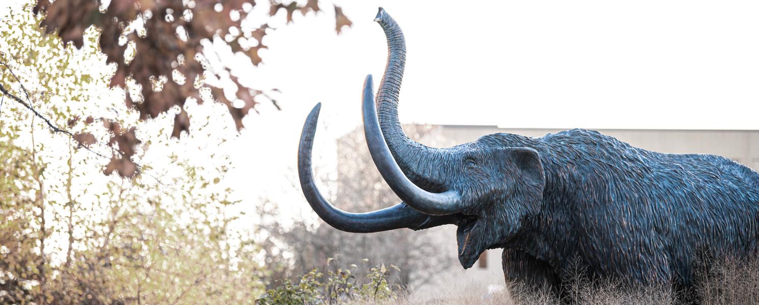 Mastodon statue in the late fall.