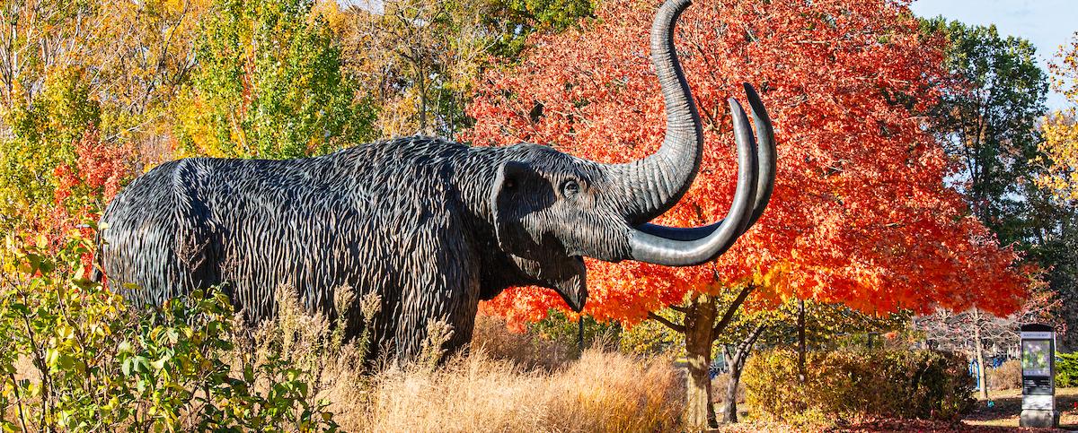 Mastodon