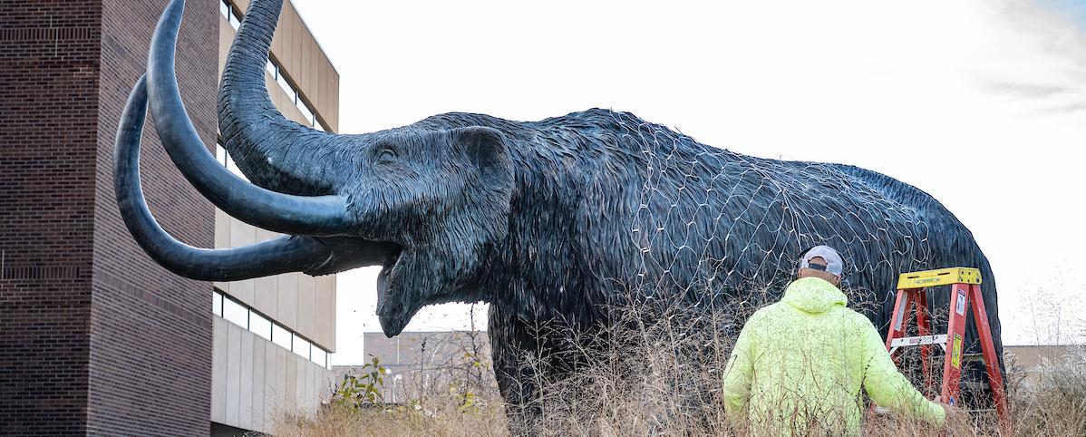 Worker putting Christmas lights on Mastodon