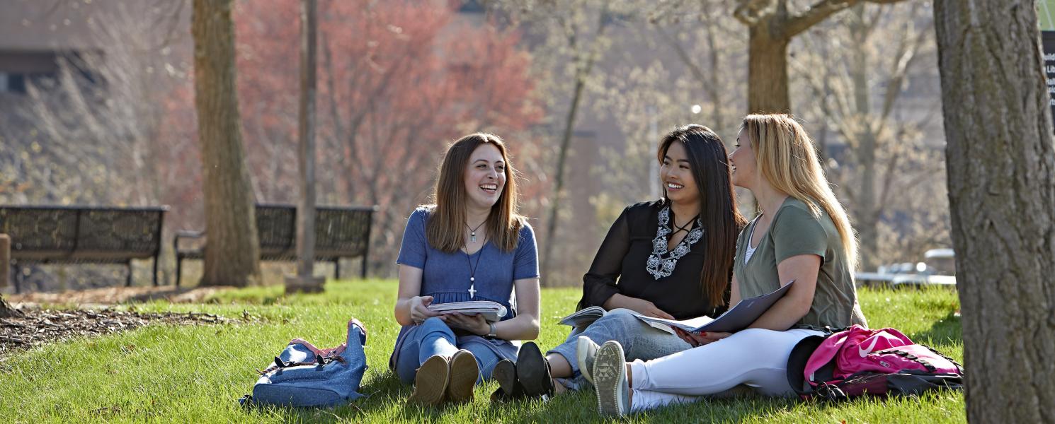 Students sitting on a hill on campus.