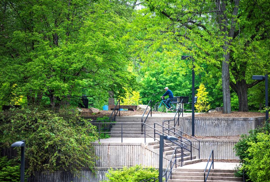 Campus photo, springtime trees, man on bike