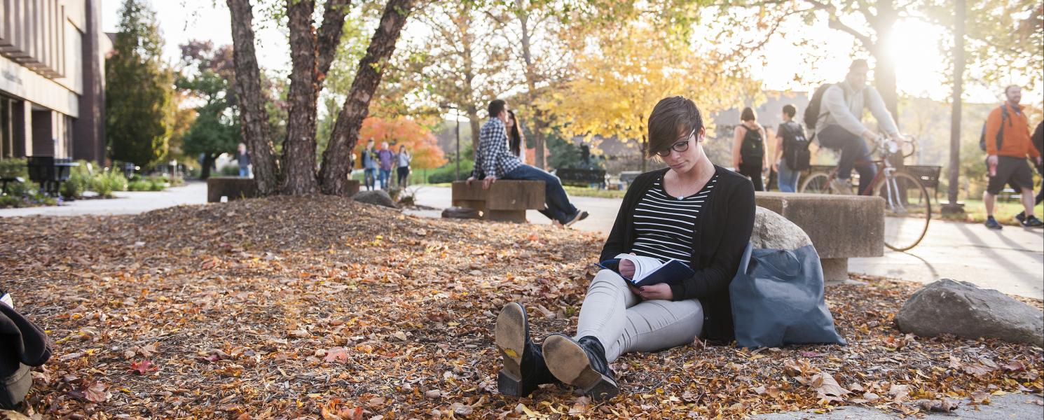 Student studying on an autumn day on campus.