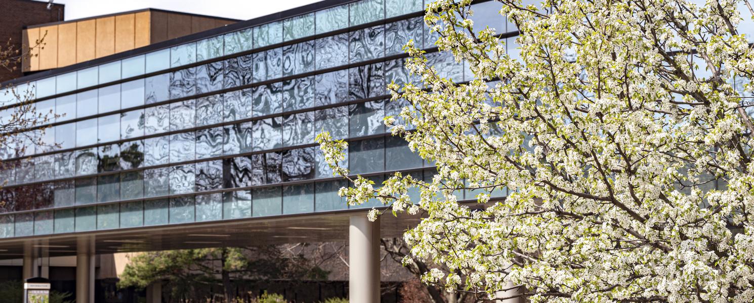 Spring time on campus with the skybridge in view.