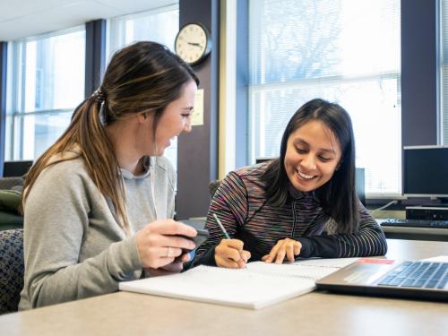 Students studying together