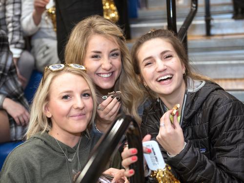 Fans at a game