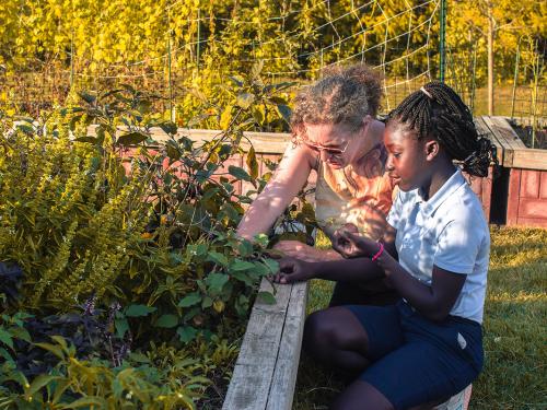 An adult and child are working in the School of Education's urban garden.