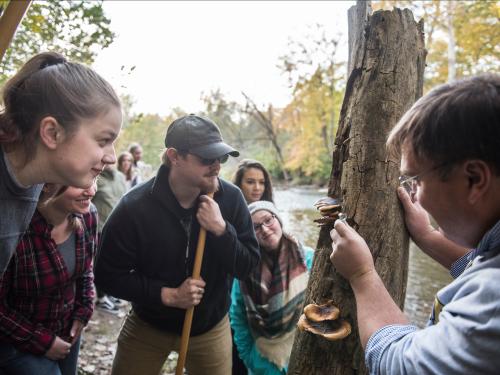 Students learning outdoors in nature.