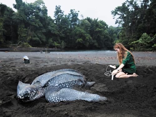 Student with leatherback turtle