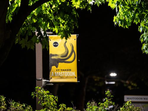 It takes a Mastodon pole banner.