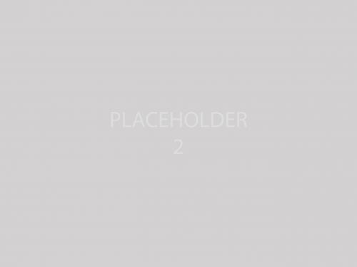 Placeholder image in grey option 2