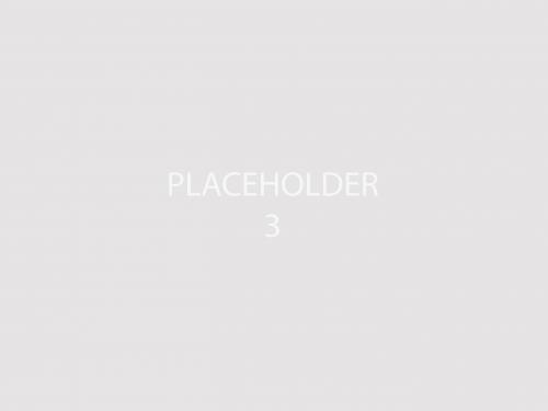 Placeholder image in grey option 3