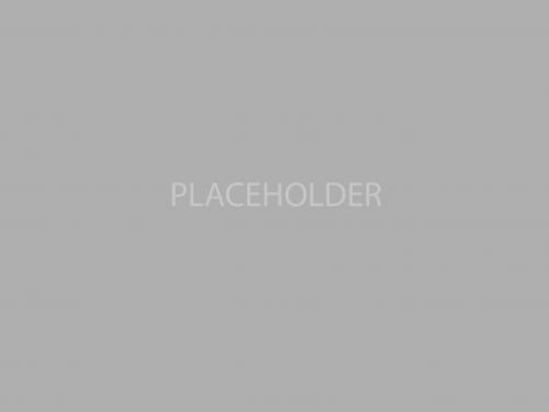 Placeholder image in grey