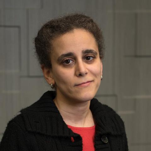 Sally Mikhail